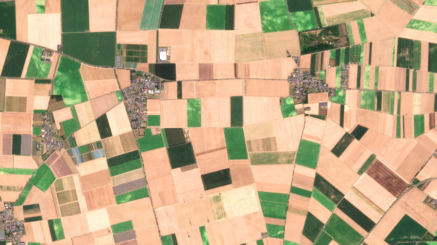 Satellitenaufnahme von landwirtschaftlichen Flächen in braun und grün..