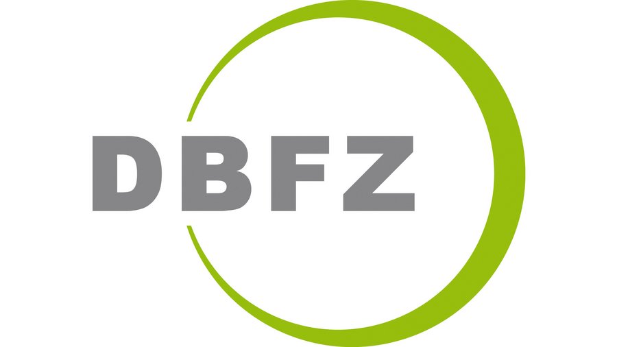 Logo des Deutschen Biomasseforschungszentrum gemeinnützige GmbH