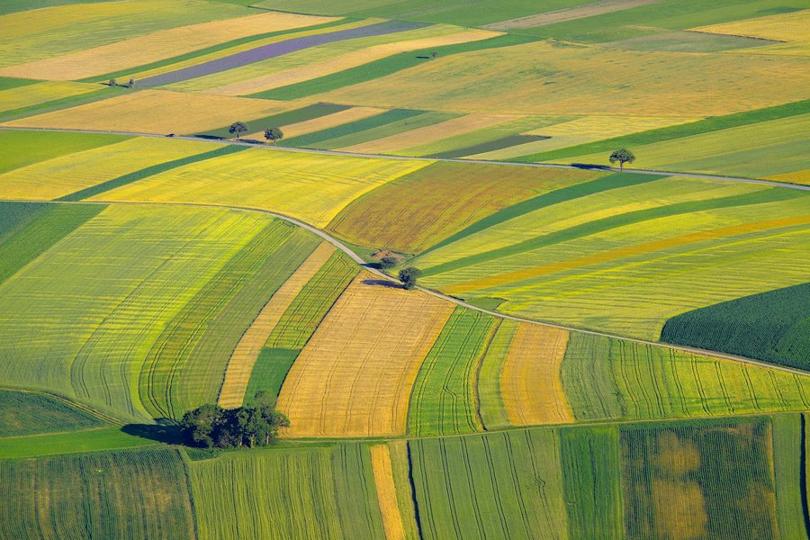 Blick aus der Luft auf grüne und gelbe landwirtschaftliche Flächen.