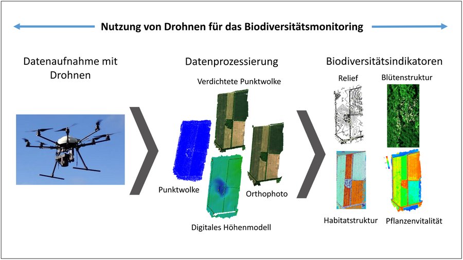Schematische Darstellung der Nutzung von Drohnen für das Biodiversitätsmonitoring. Erläuterungen im Text. 