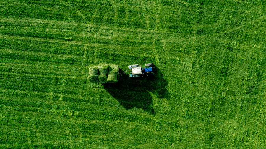 Traktor bei Mahd auf grüner Wiese.